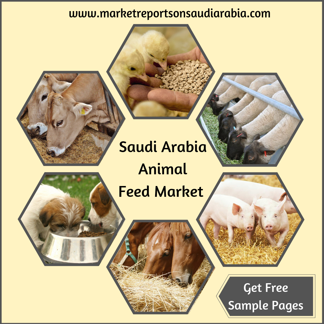 Saudi Arabia Animal Feed Market-Market Reports On Saudi Arabia